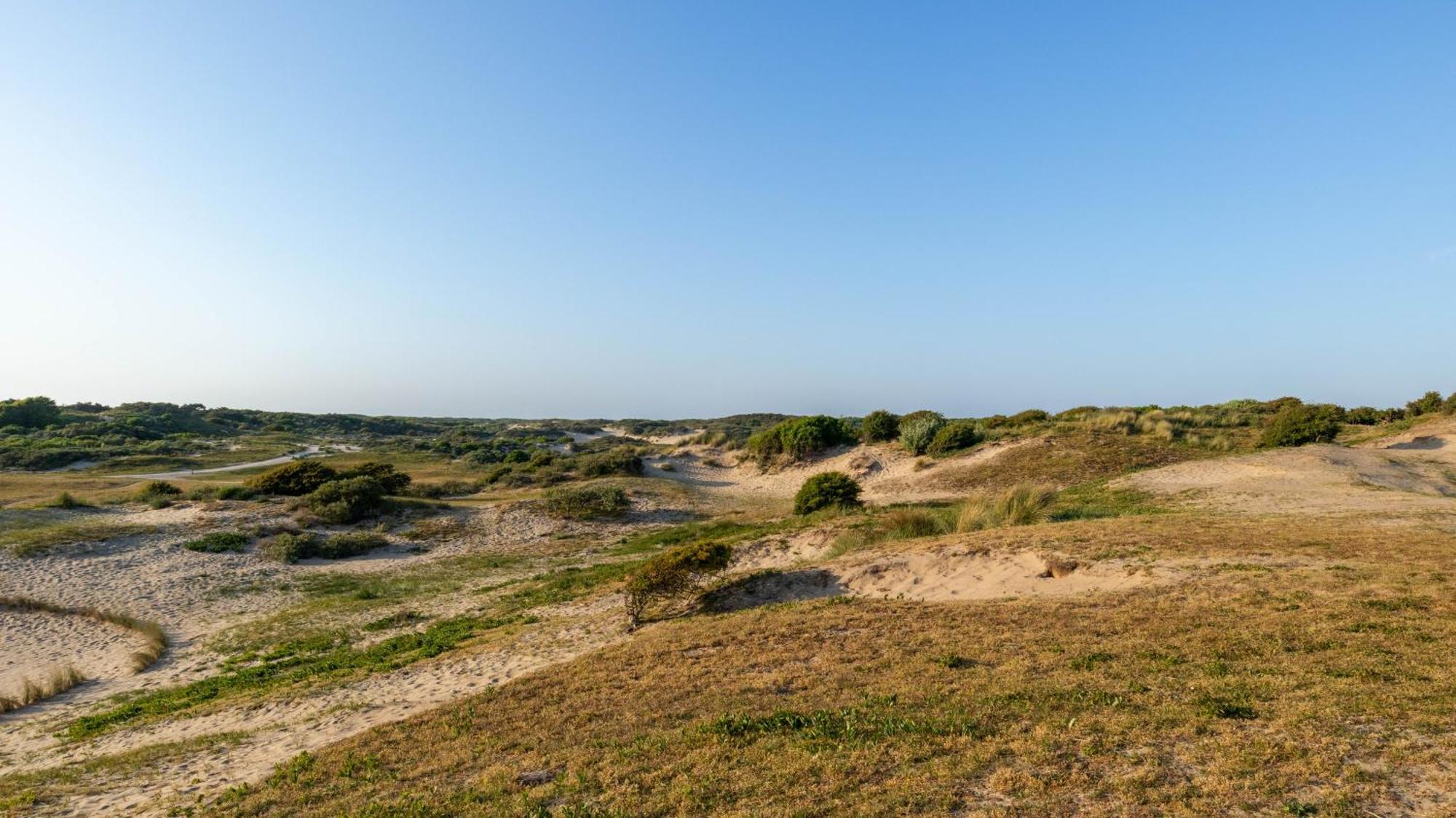 Beach Lodge 24 - Noordwijk Aan Zee - Met Eigen Tuin Exterior photo